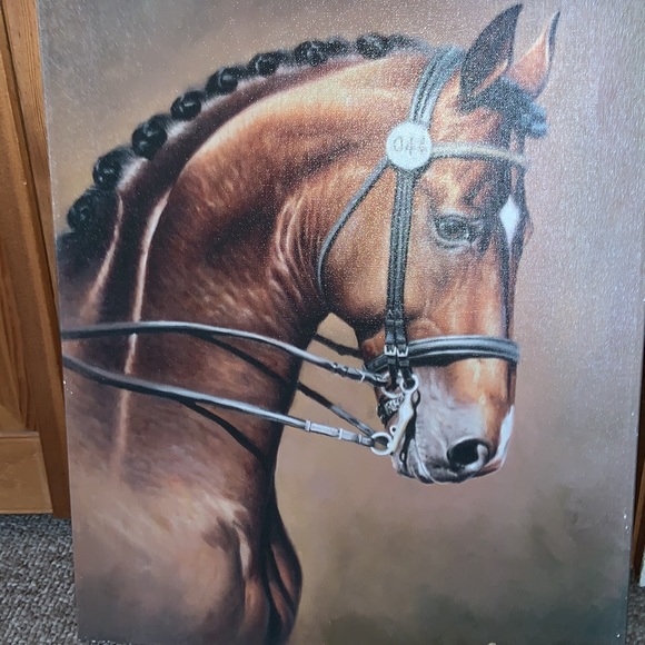 GORGEOUS DRESSAGE bay HORSE PRINT ON CANVAS 2003 RON M SULLIVAN 16x20 Grand Prix - Picture 3 of 4
